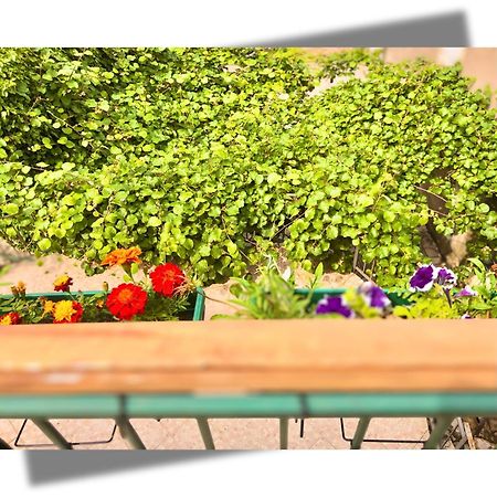 קוטור Apartments Djurovic מראה חיצוני תמונה