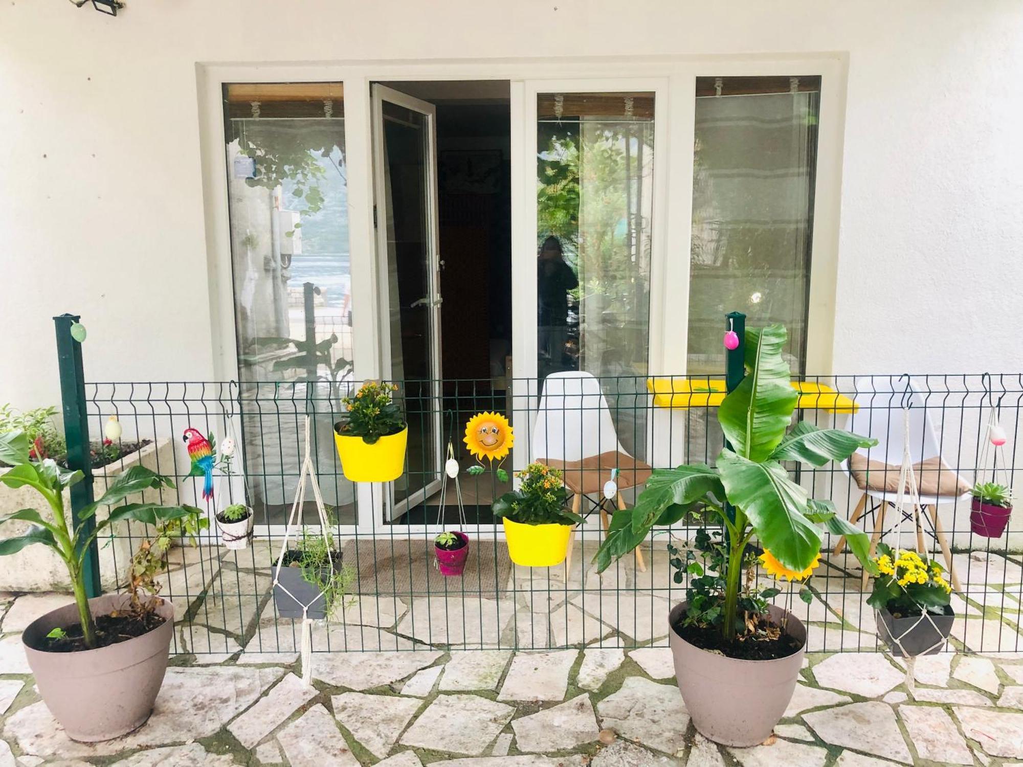 קוטור Apartments Djurovic חדר תמונה